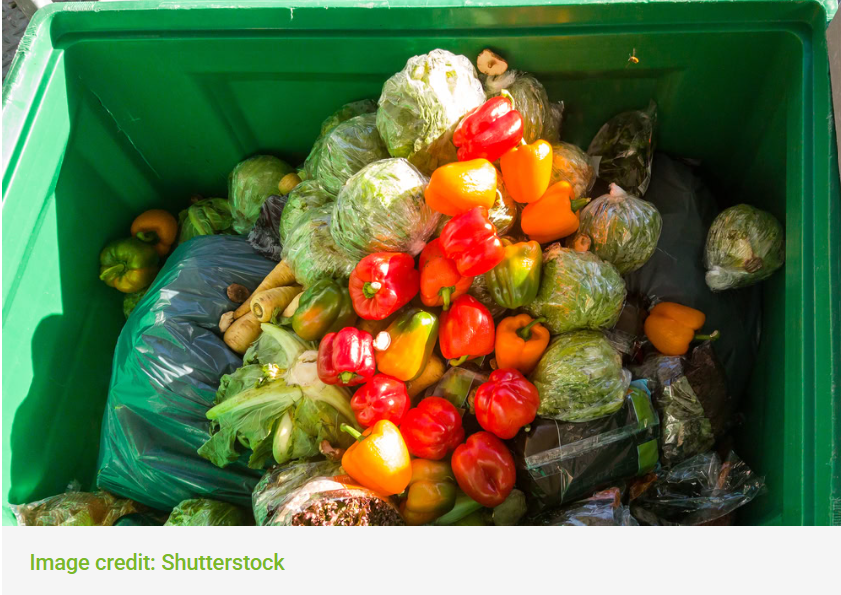 Global Food Pact Network Saves 220,000 Tonnes of Food Waste — Local Collection Is the Next Step